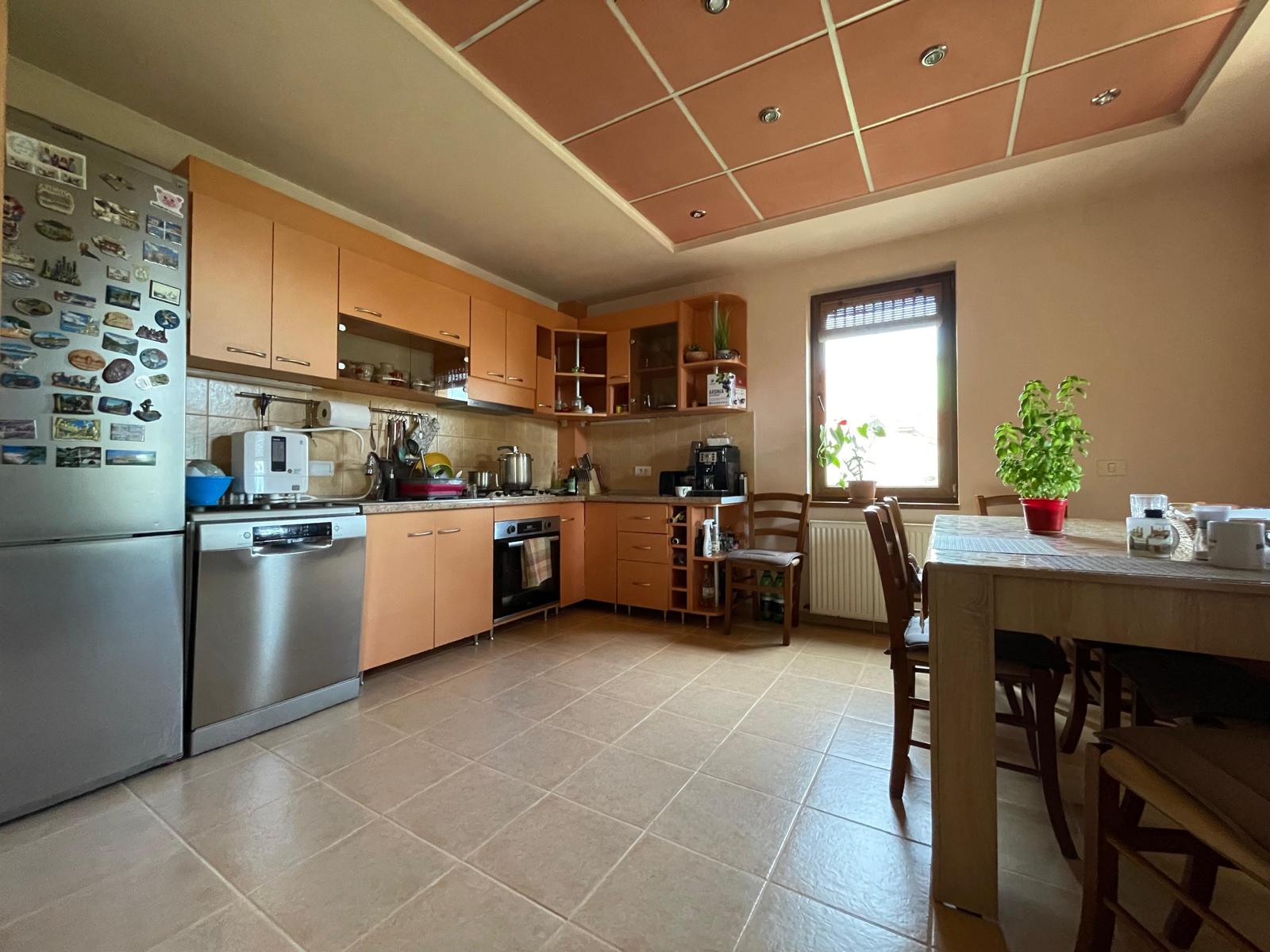 imobiliare timisoara