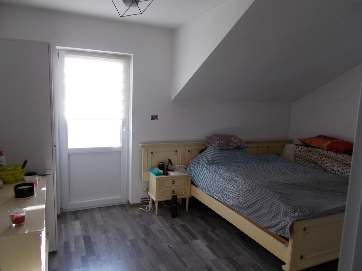imobiliare timisoara