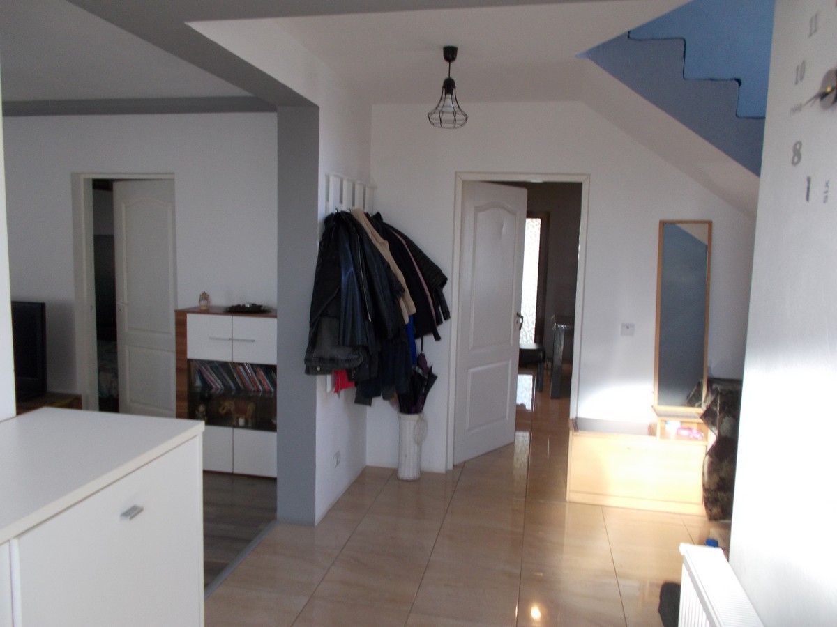 imobiliare timisoara