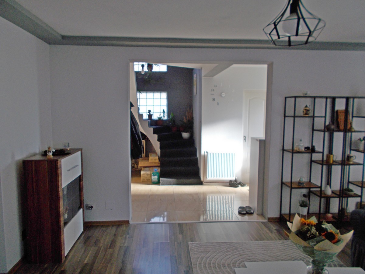 imobiliare timisoara