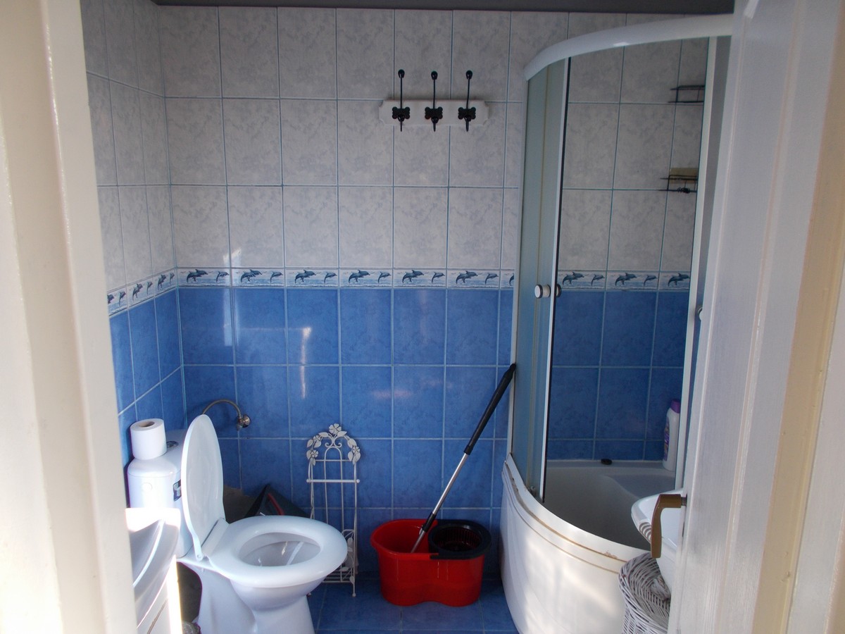 imobiliare timisoara