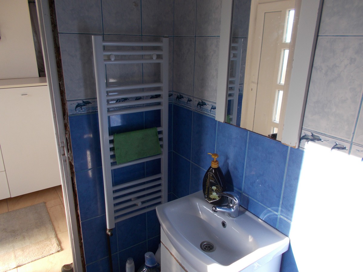 imobiliare timisoara