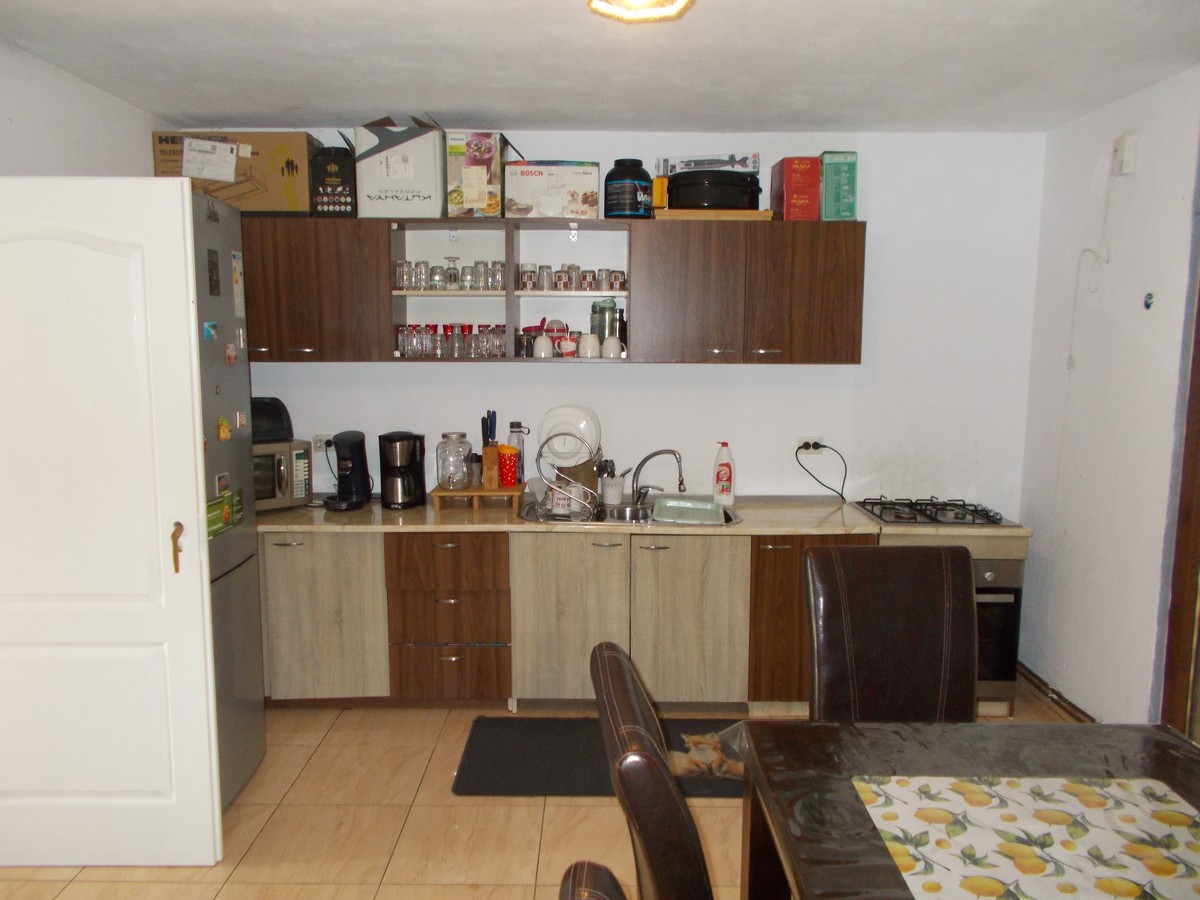 imobiliare timisoara