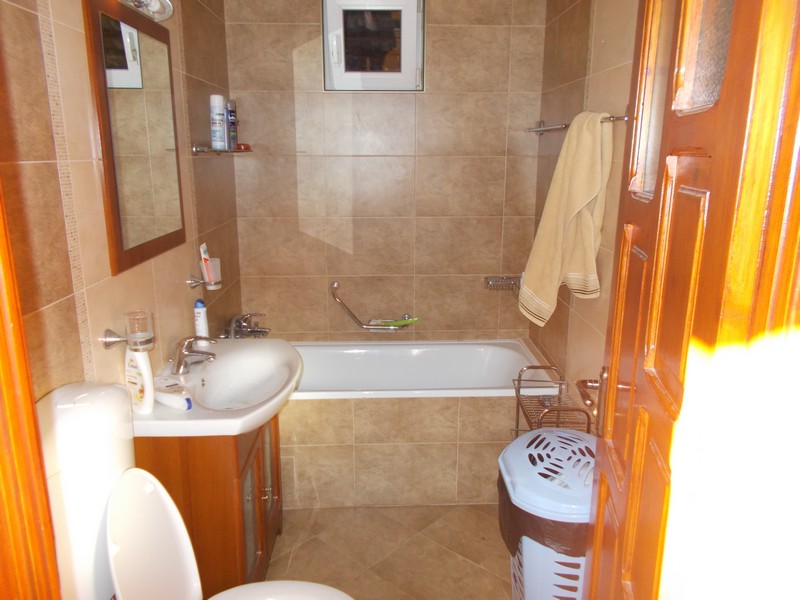 imobiliare timisoara