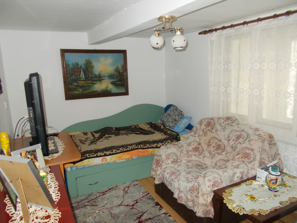 imobiliare timisoara