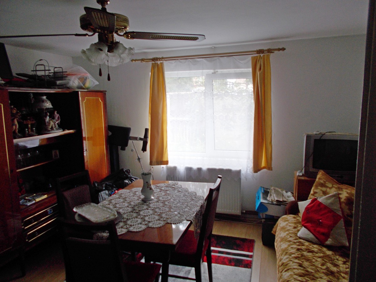 imobiliare timisoara
