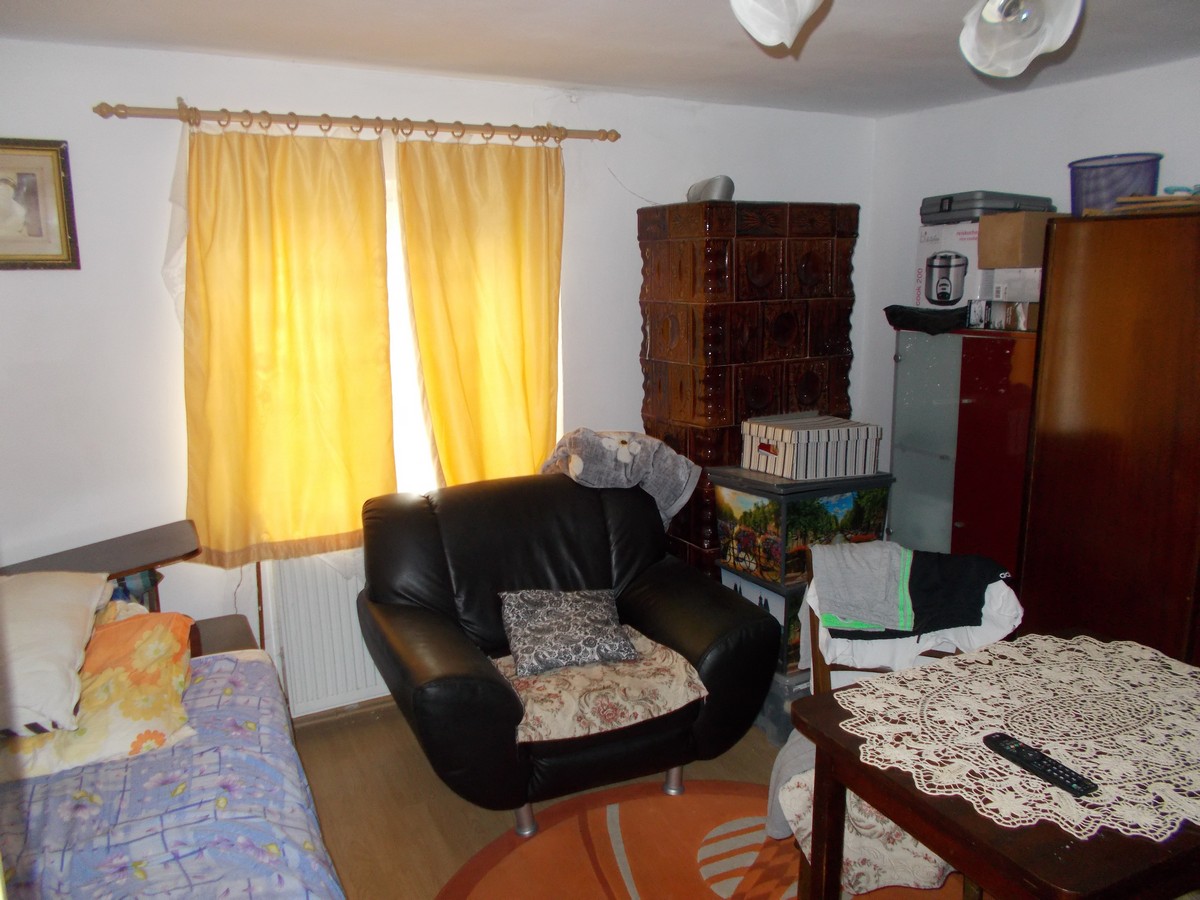 imobiliare timisoara