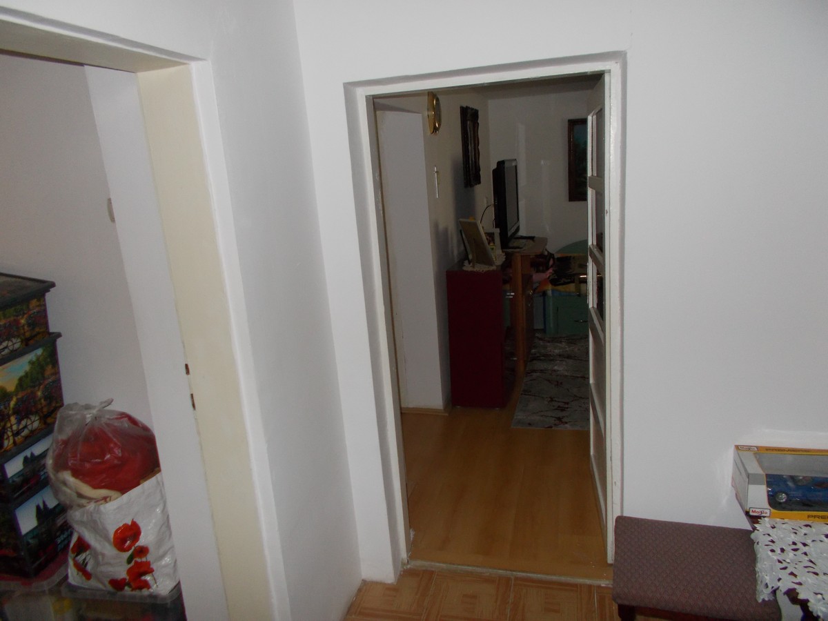 imobiliare timisoara