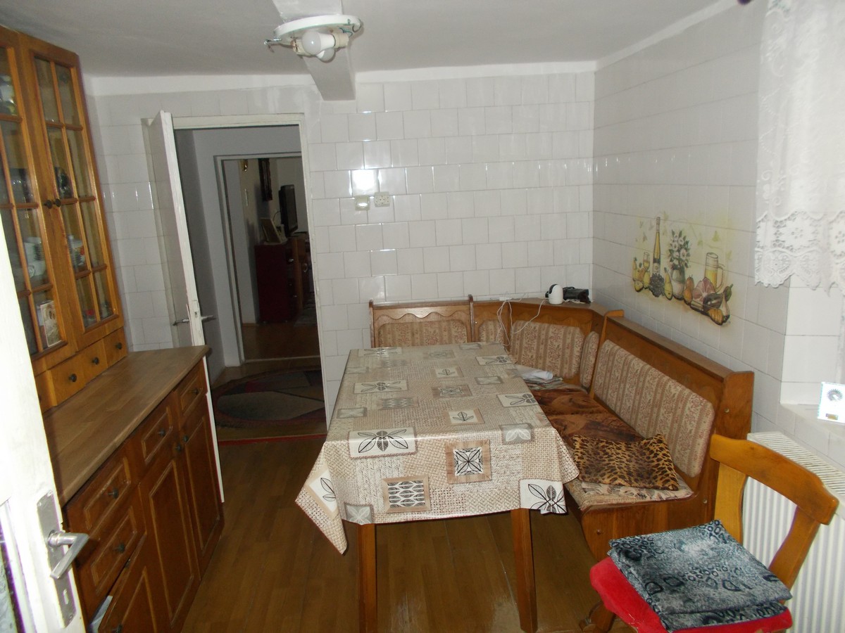 imobiliare timisoara