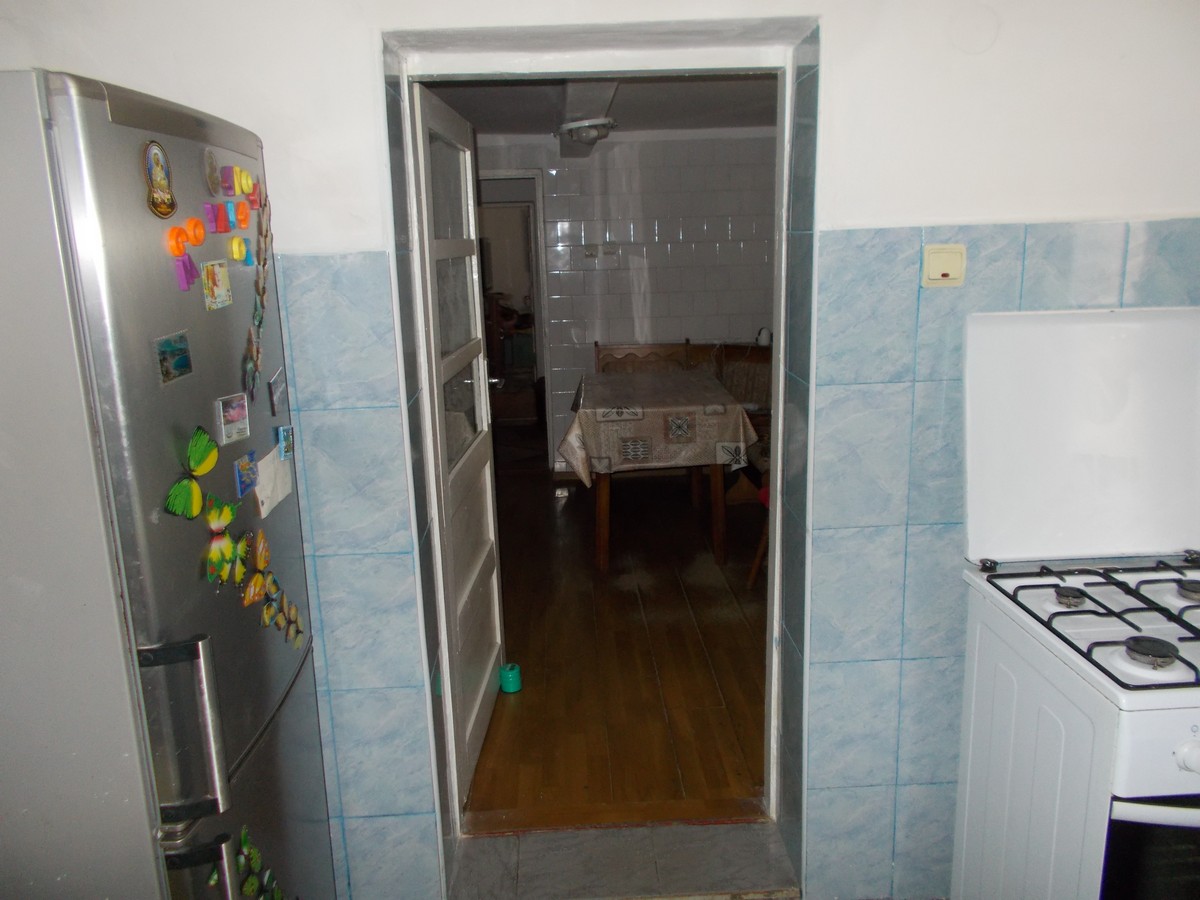 imobiliare timisoara