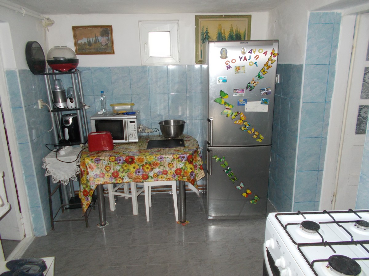 imobiliare timisoara