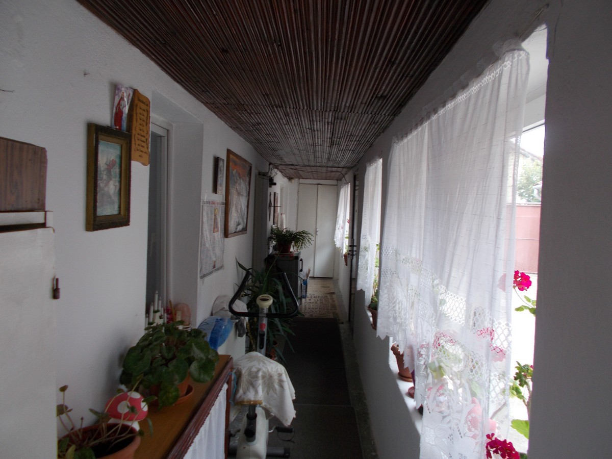 imobiliare timisoara