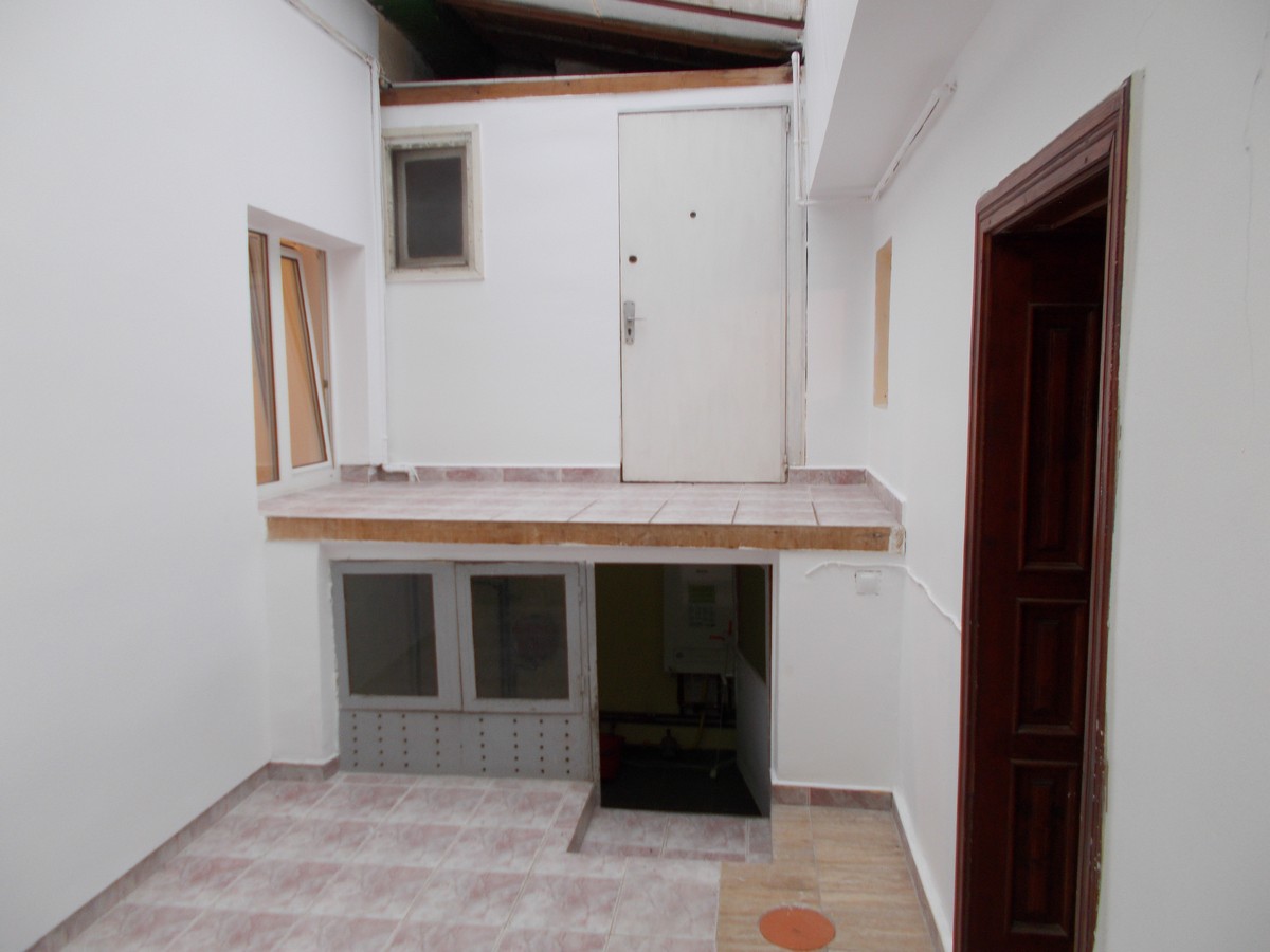 imobiliare timisoara