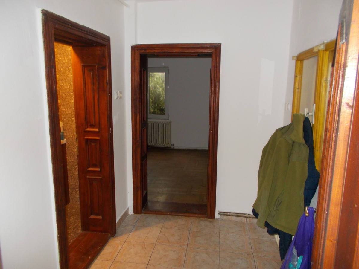 imobiliare timisoara
