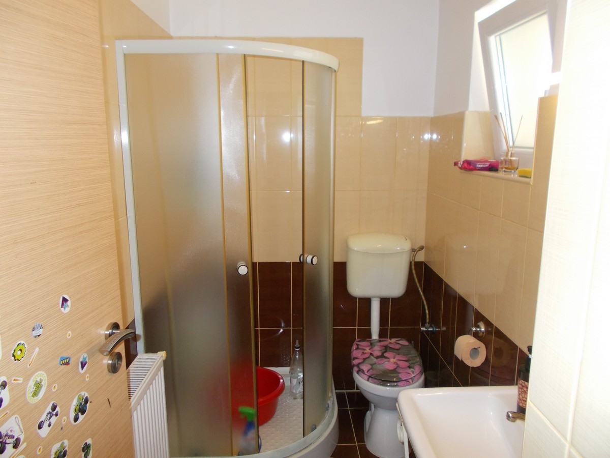 imobiliare timisoara