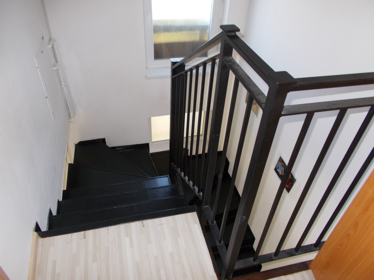 imobiliare timisoara