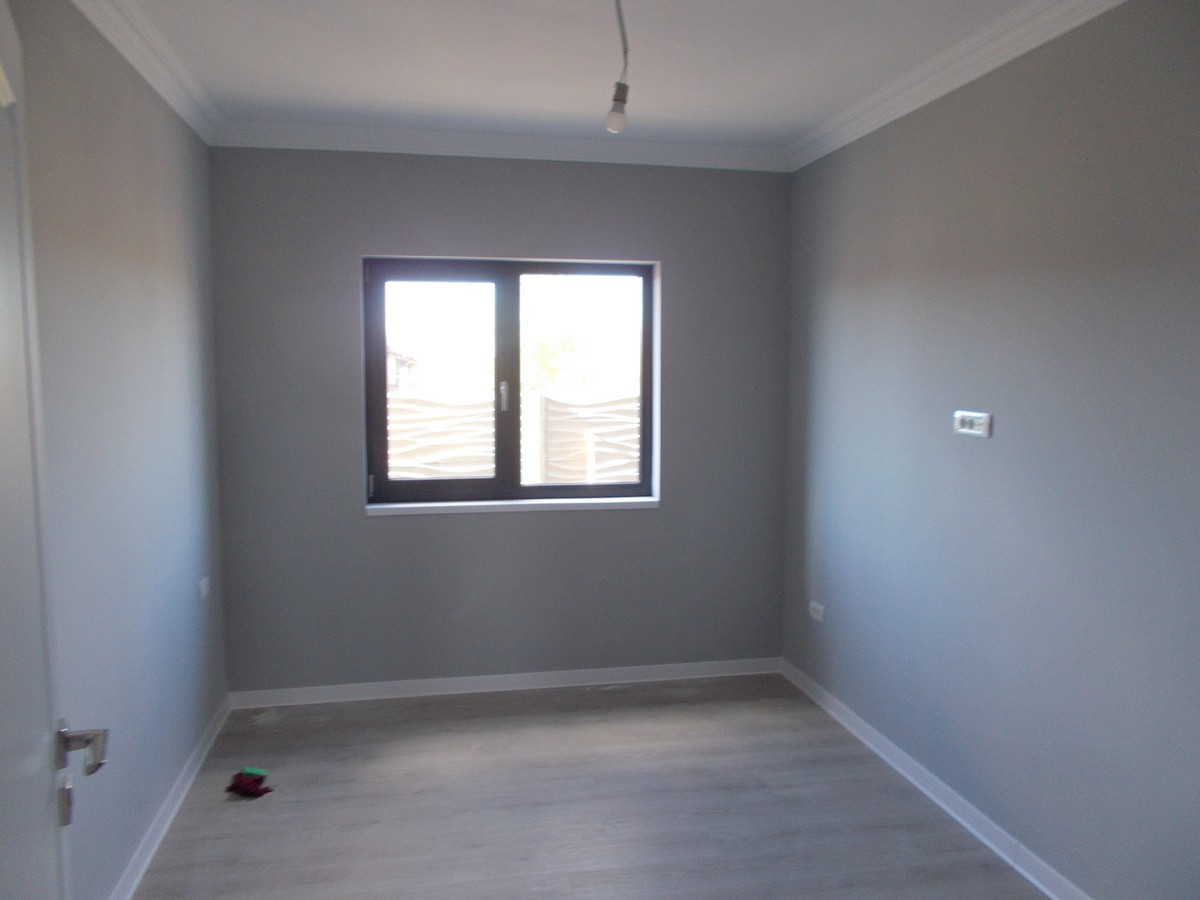 imobiliare timisoara