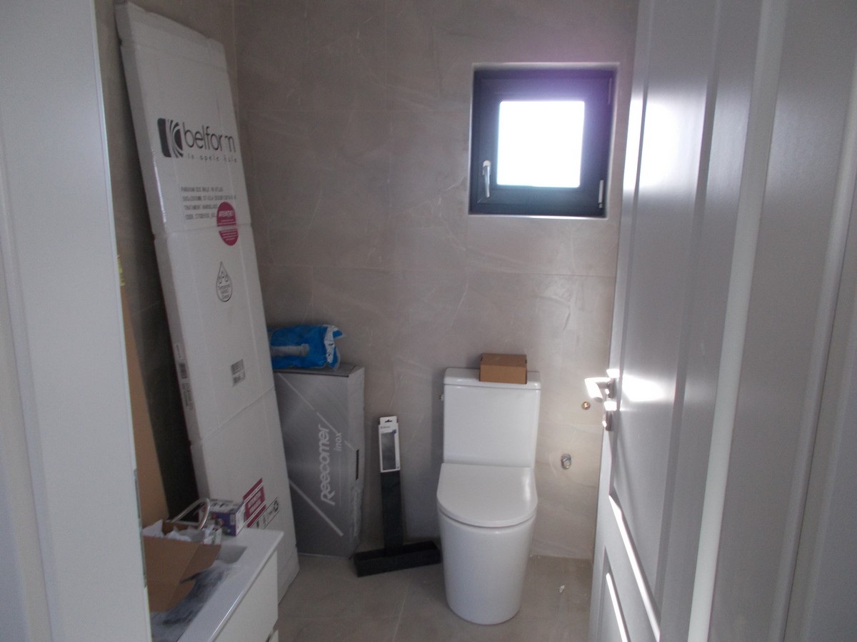 imobiliare timisoara