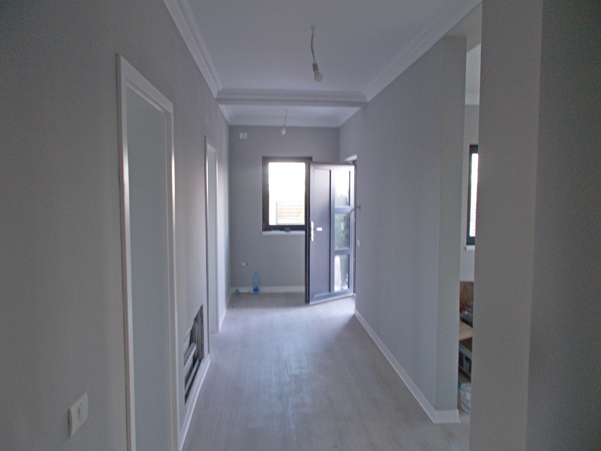 imobiliare timisoara