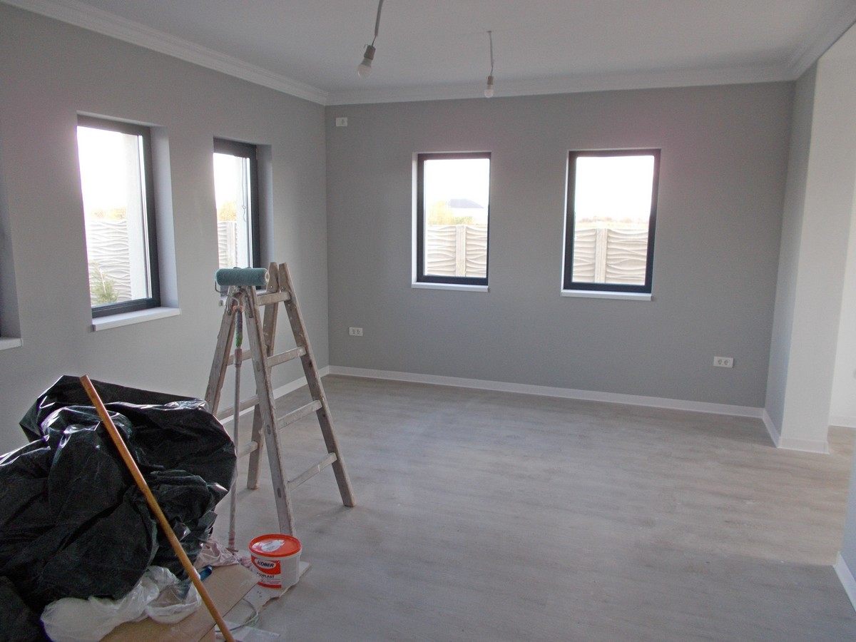 imobiliare timisoara