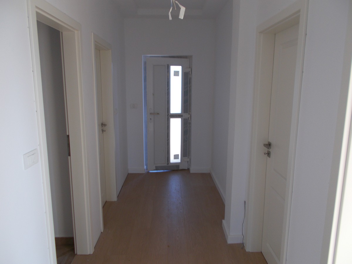 imobiliare timisoara