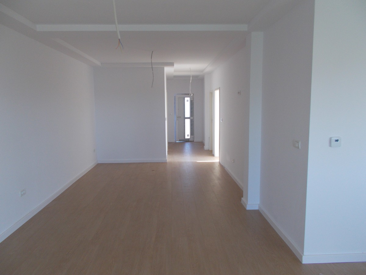 imobiliare timisoara