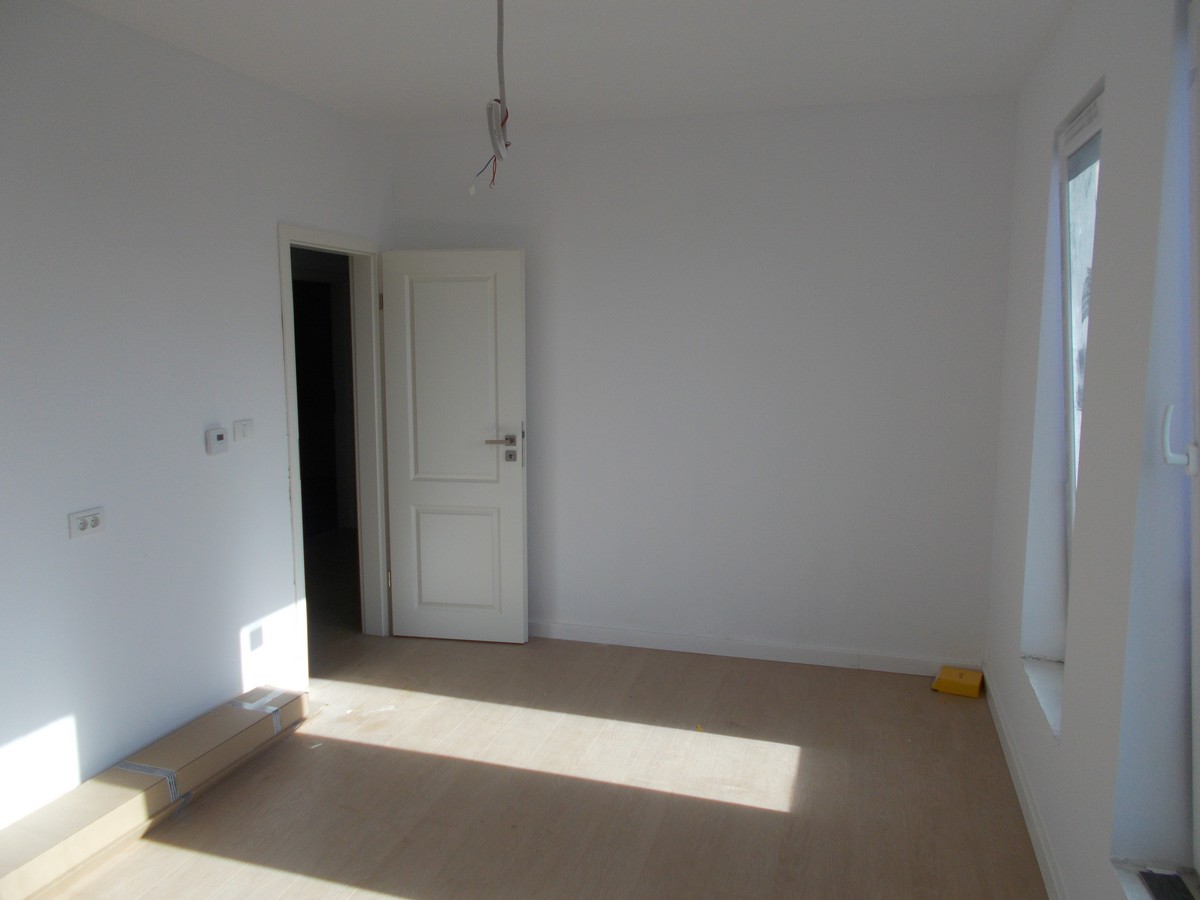 imobiliare timisoara