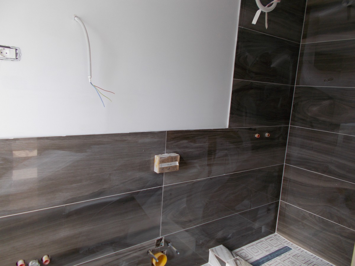 imobiliare timisoara