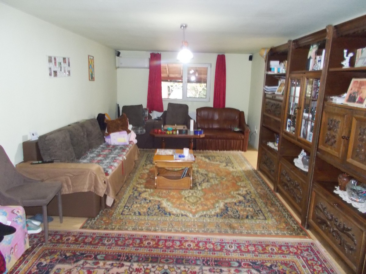 imobiliare timisoara