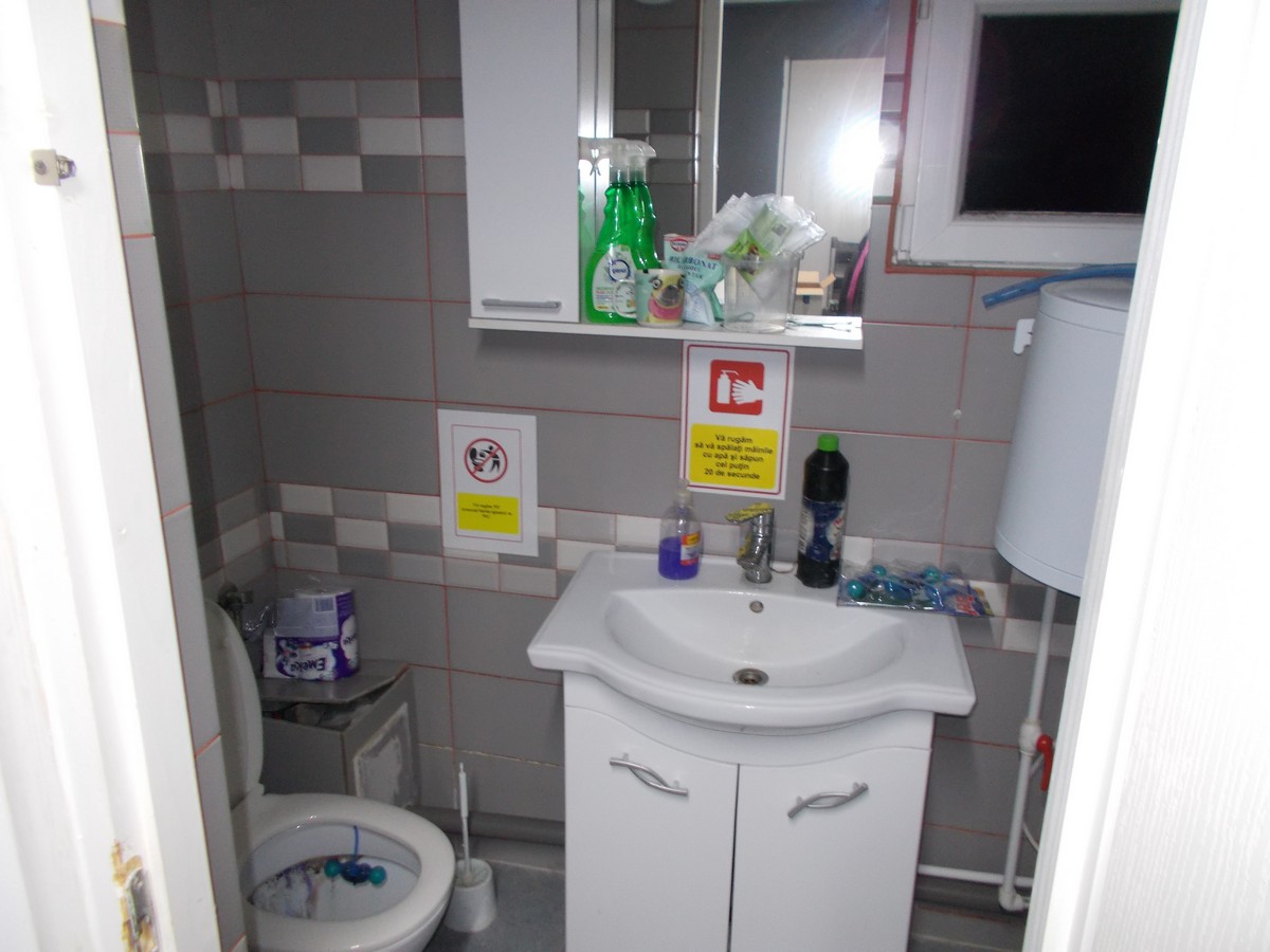 imobiliare timisoara