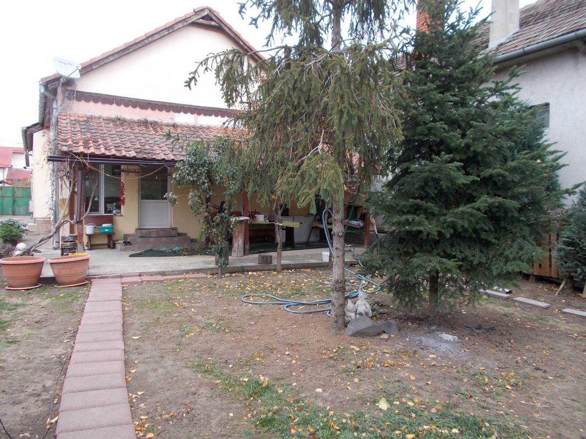imobiliare timisoara