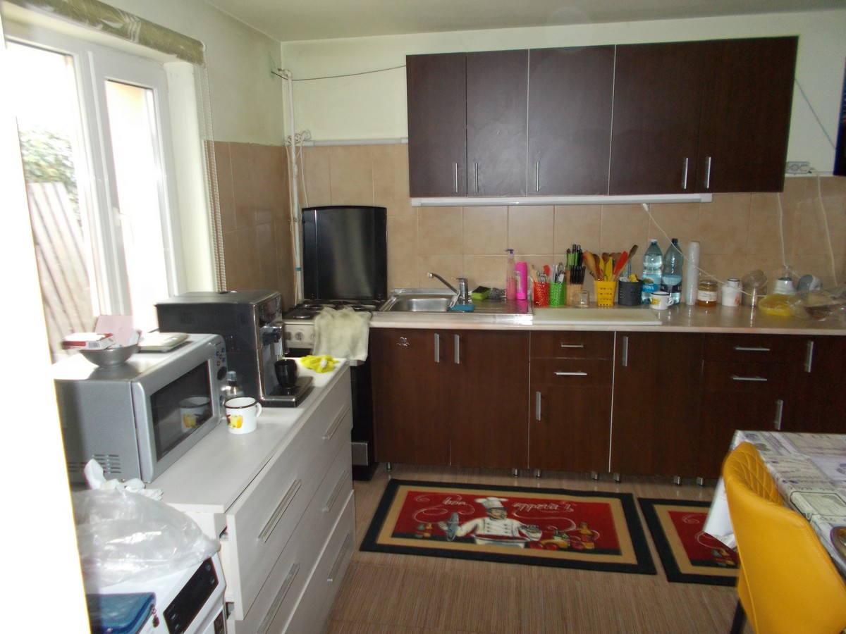 imobiliare timisoara