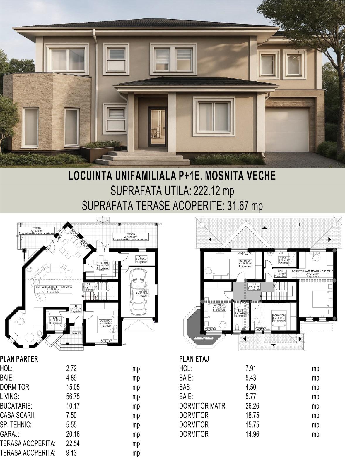 imobiliare timisoara