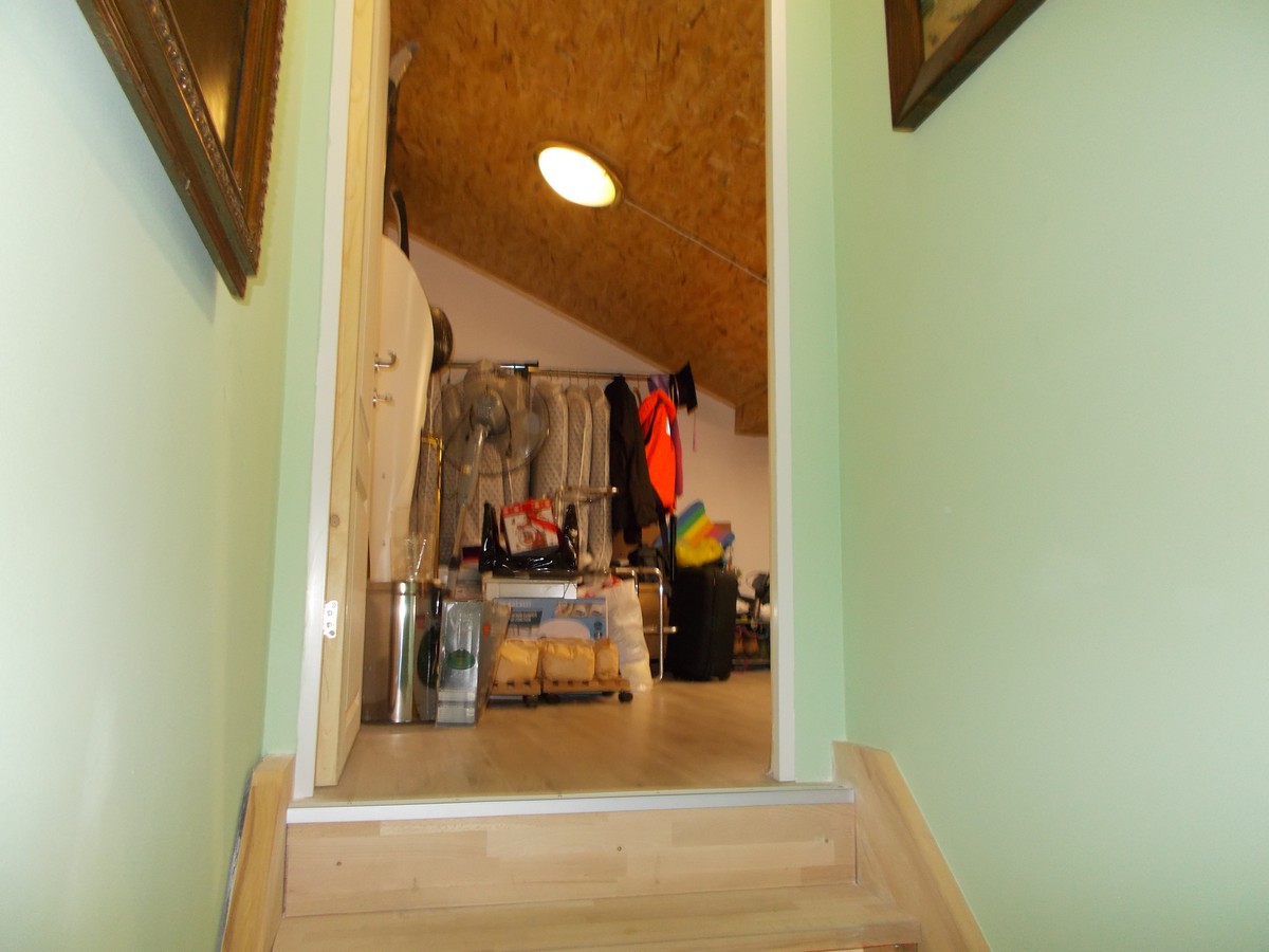 imobiliare timisoara