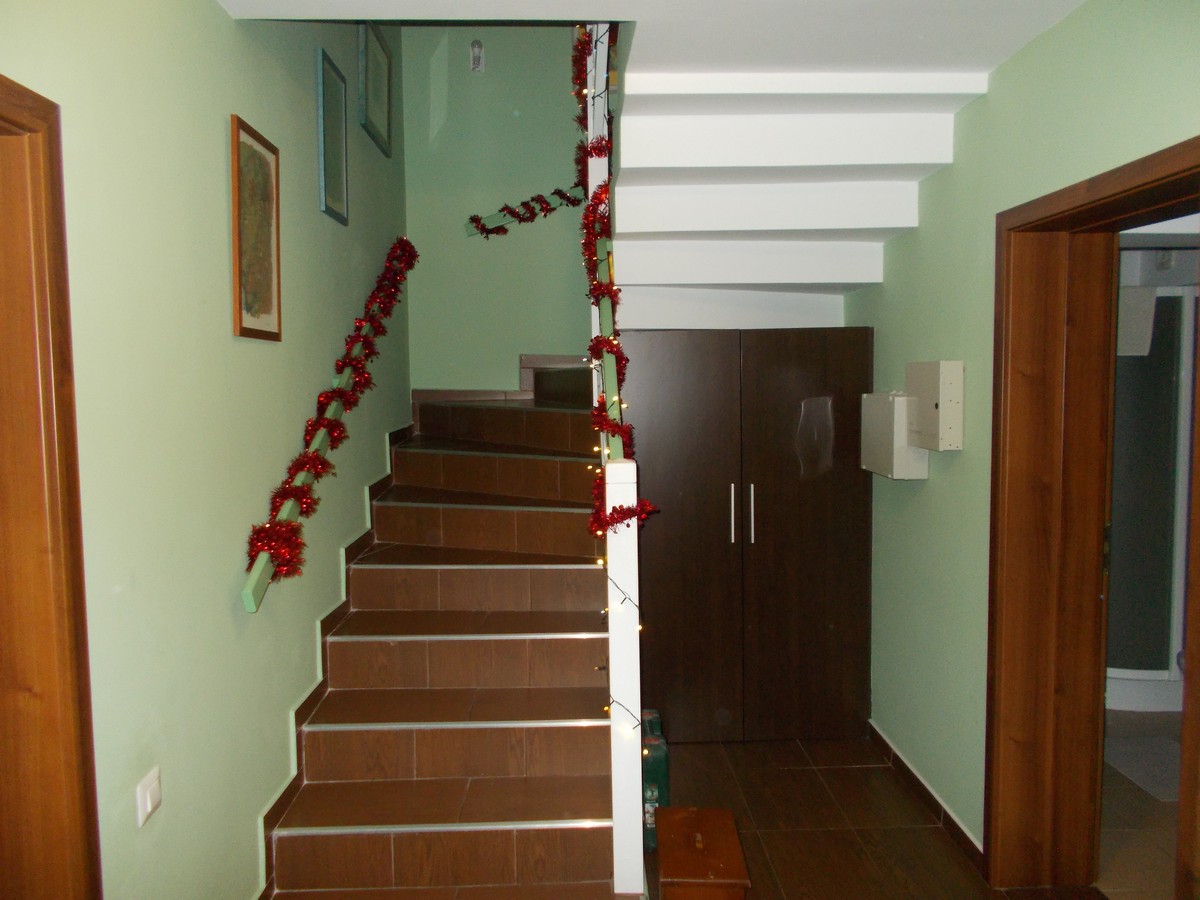 imobiliare timisoara