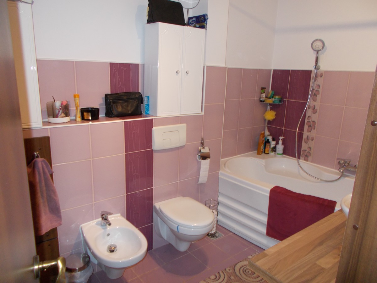 imobiliare timisoara