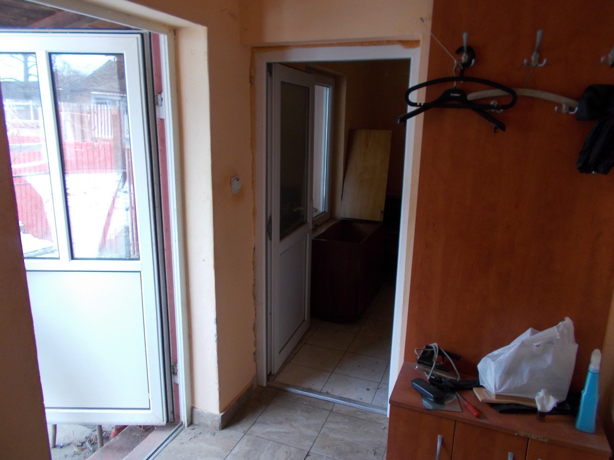 imobiliare timisoara