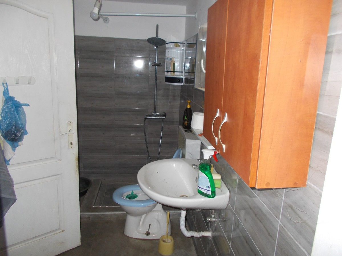 imobiliare timisoara