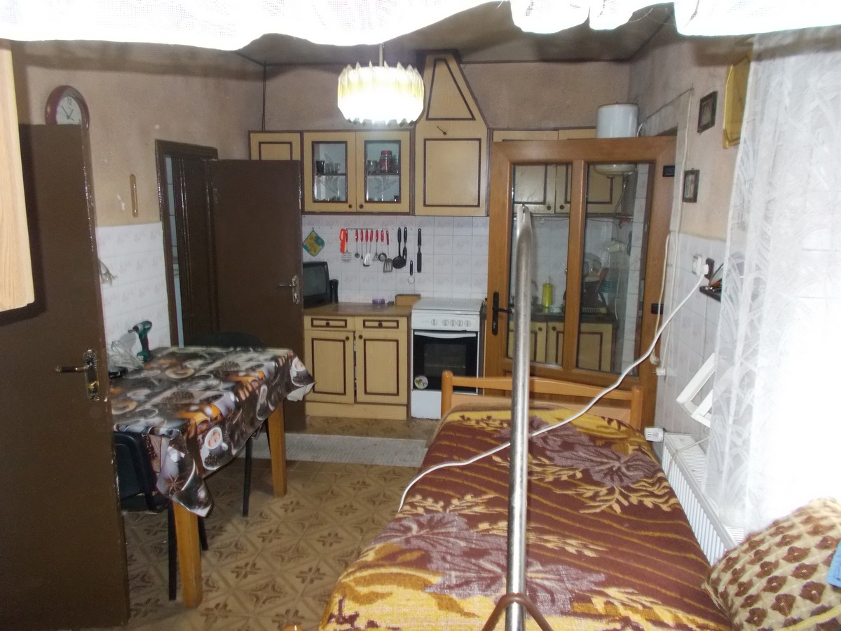 imobiliare timisoara