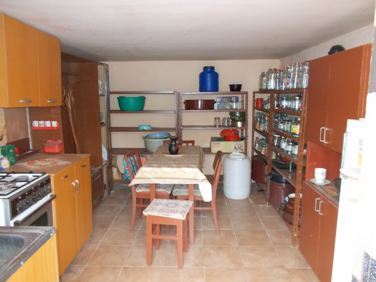 imobiliare timisoara