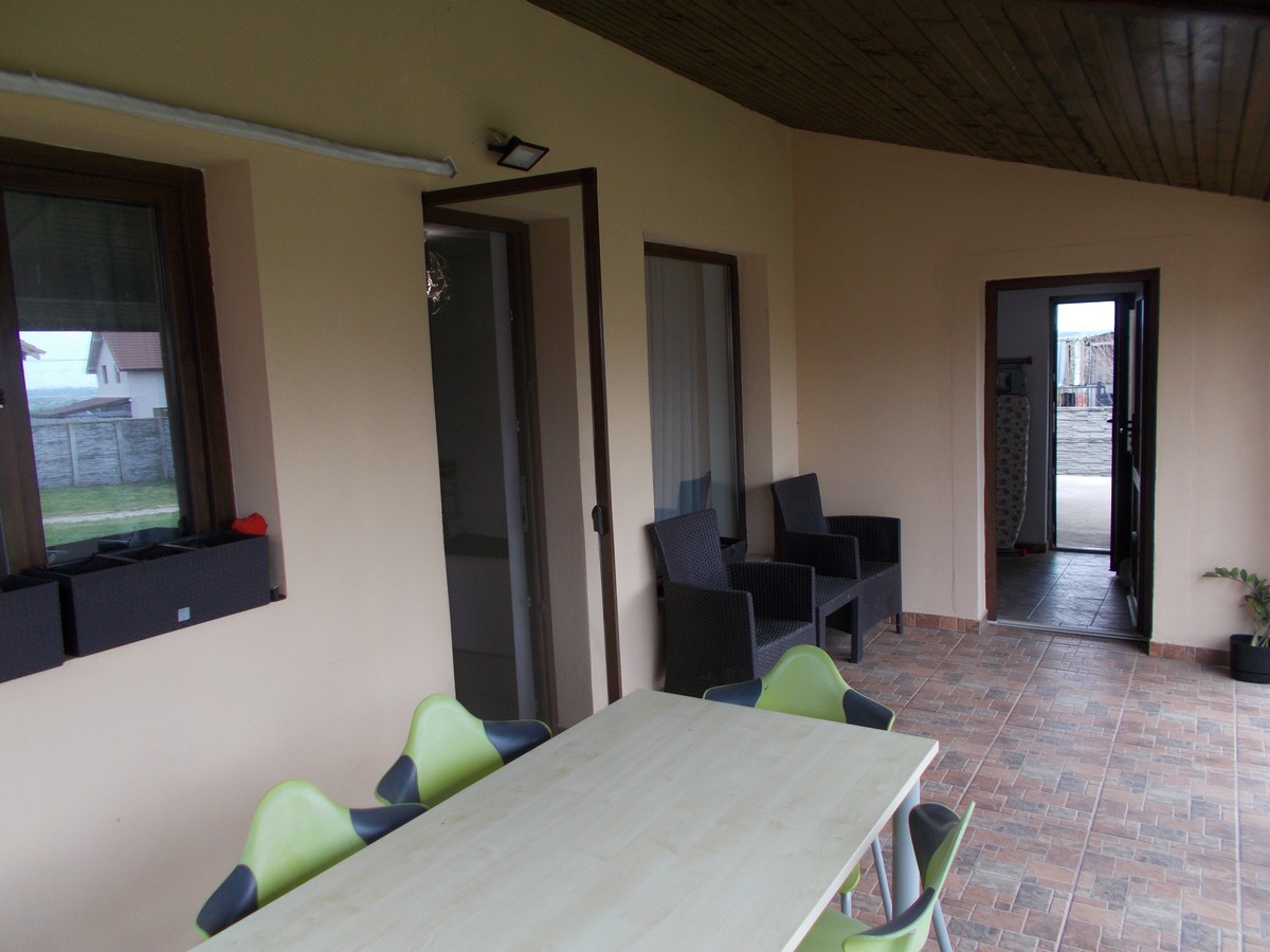 imobiliare timisoara