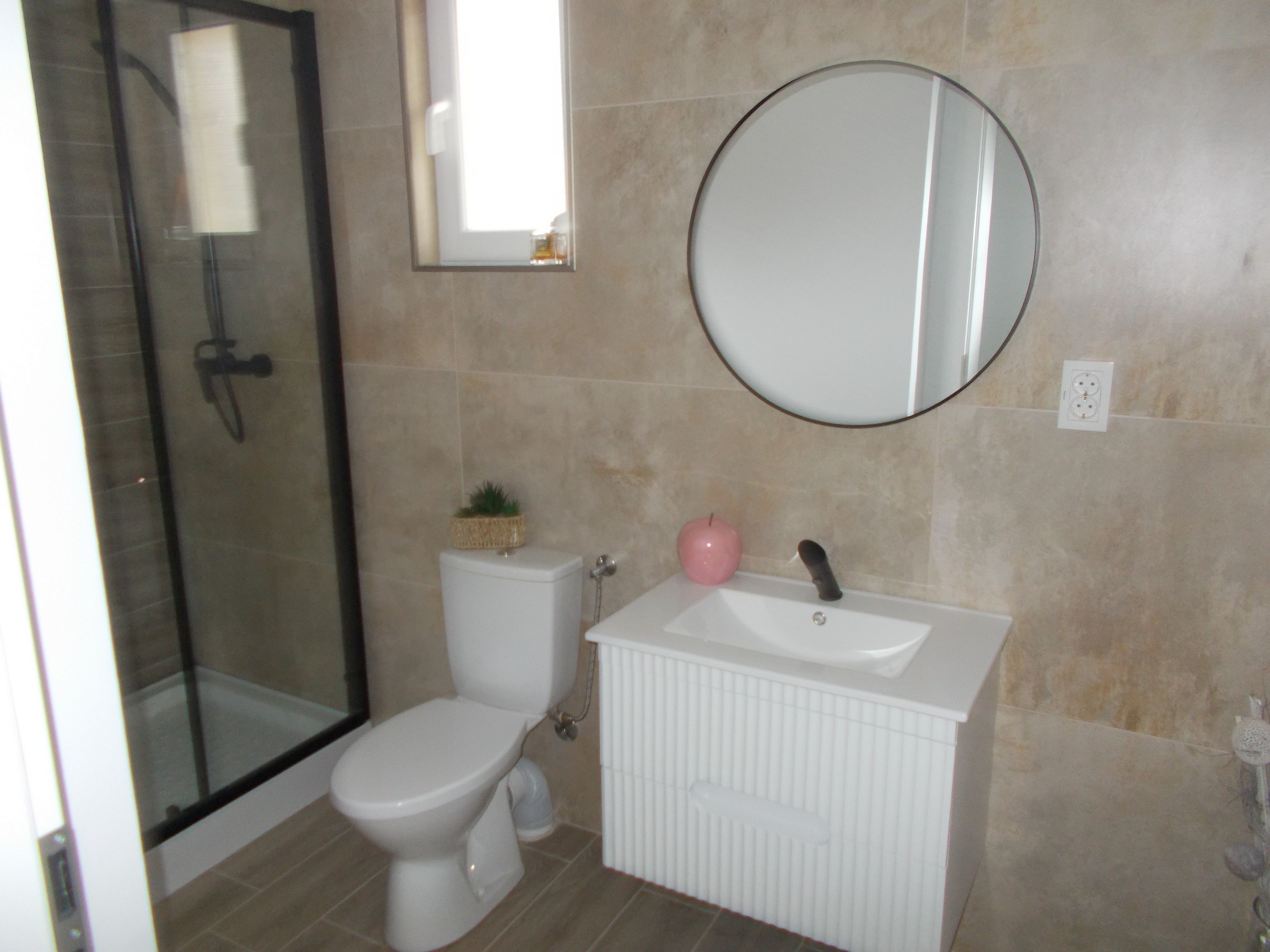 imobiliare timisoara