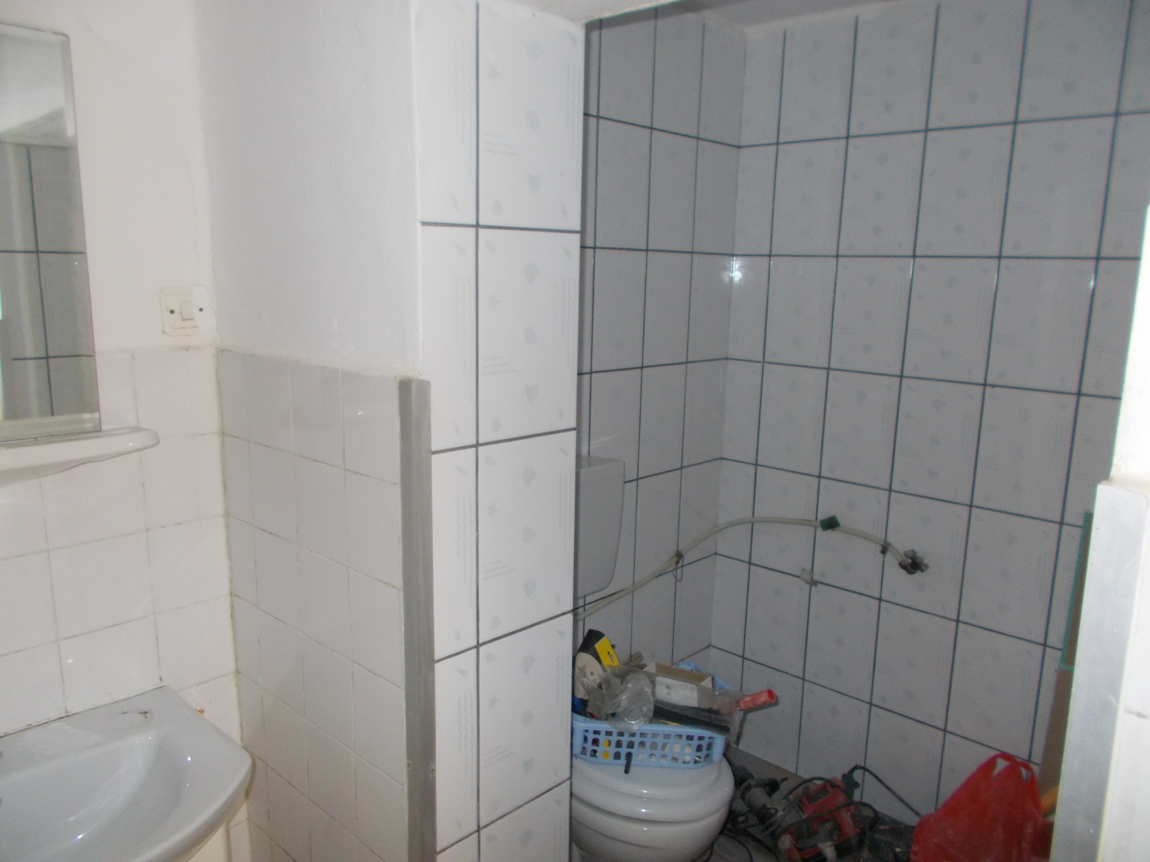 imobiliare timisoara