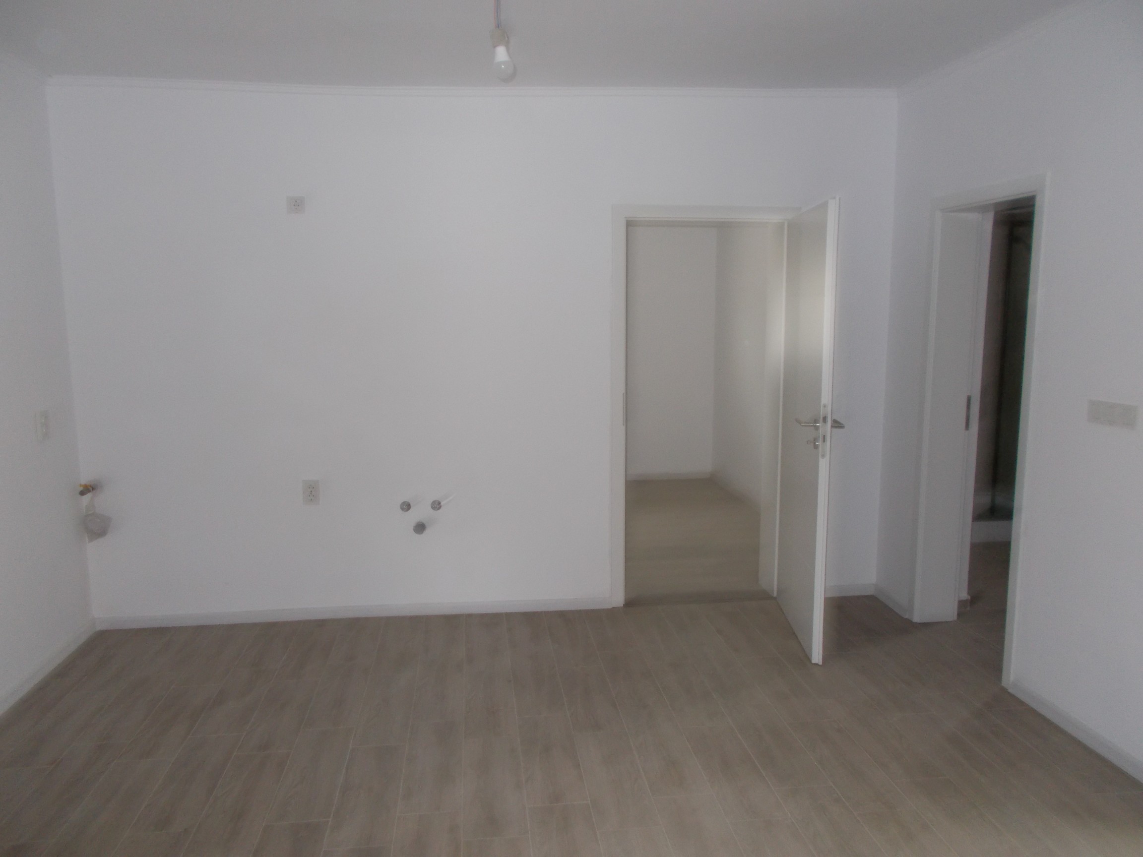 imobiliare timisoara