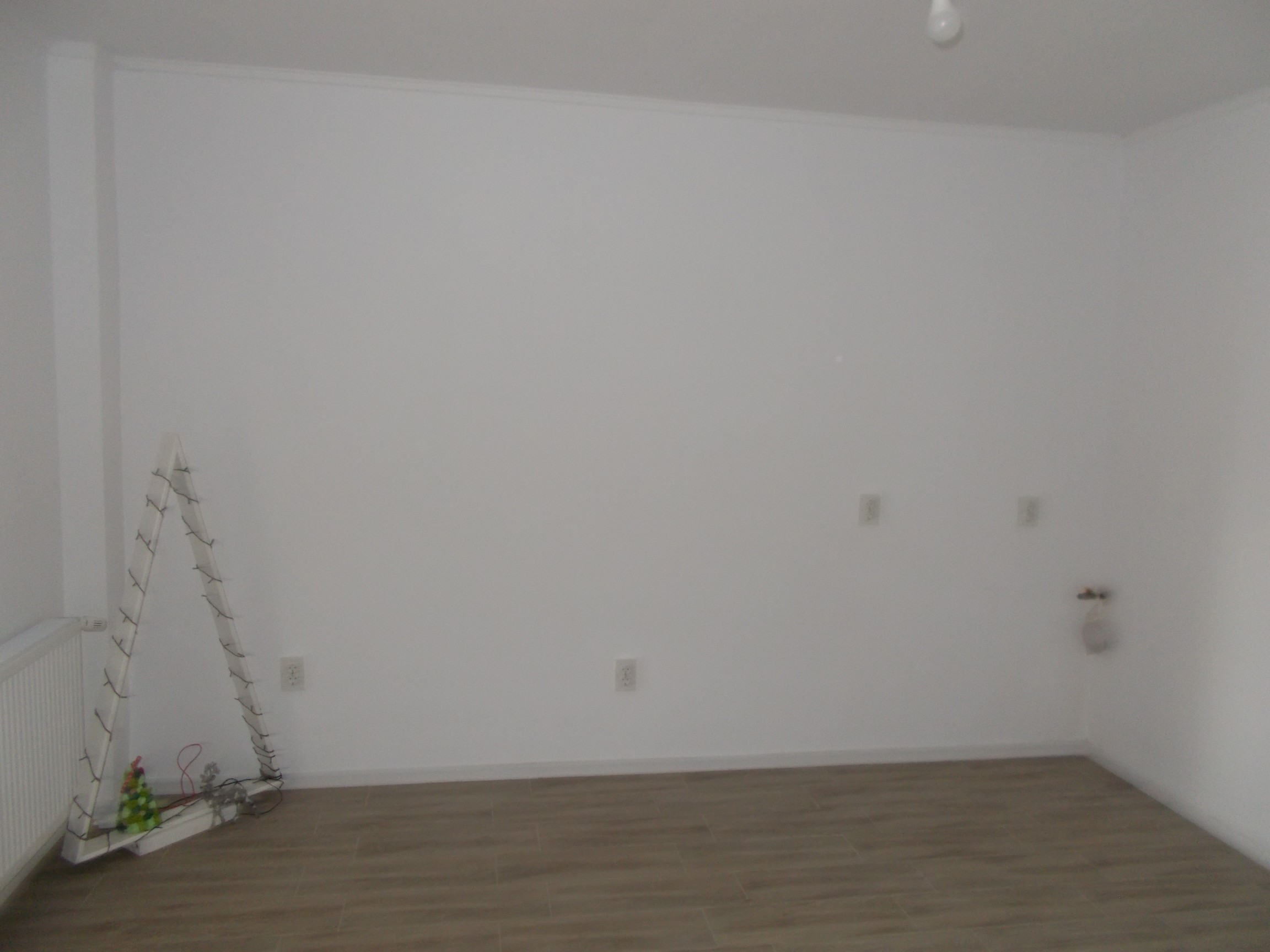 imobiliare timisoara