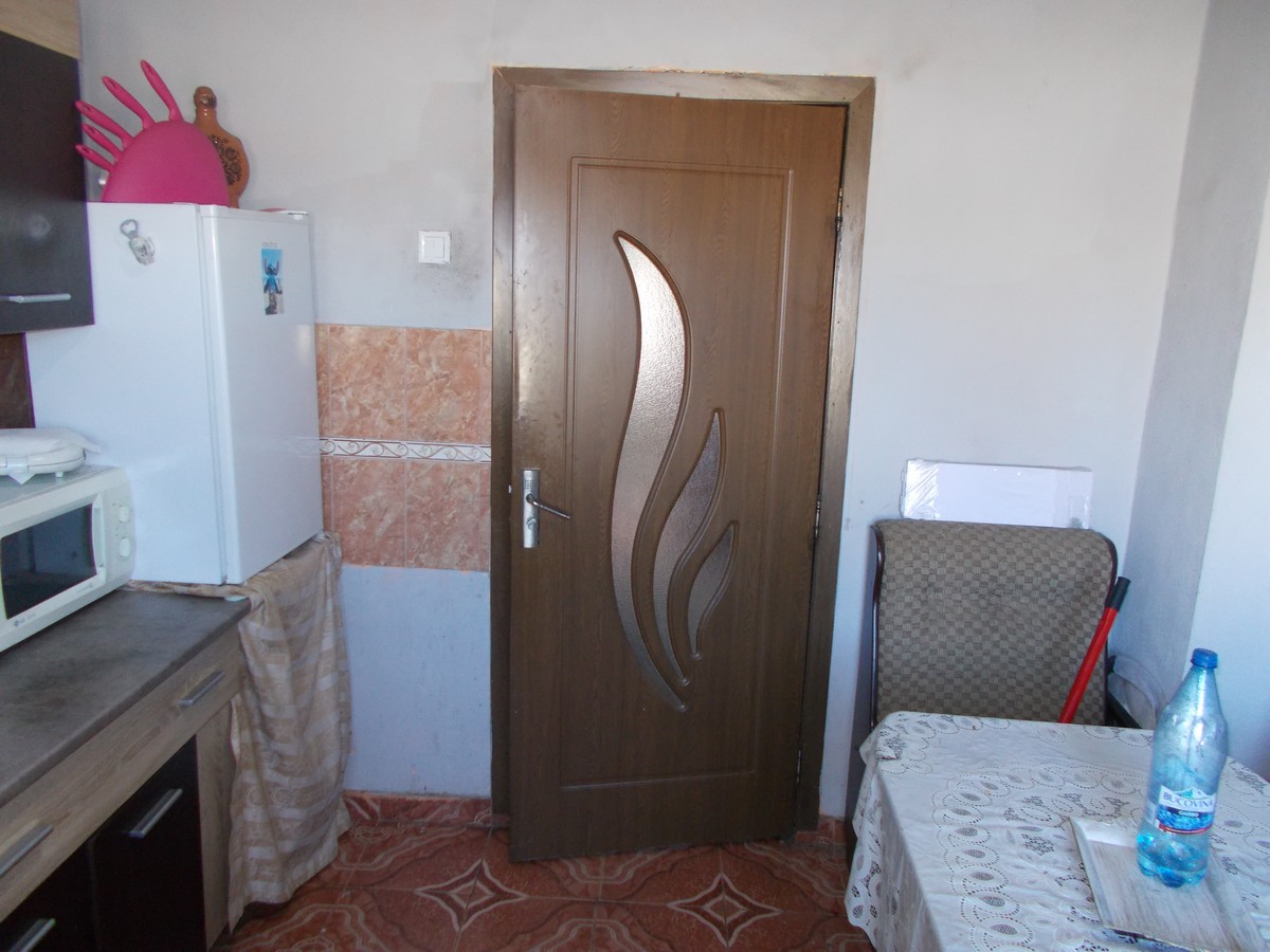 imobiliare timisoara