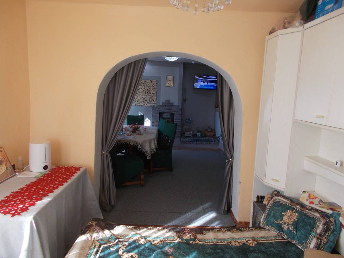 imobiliare timisoara