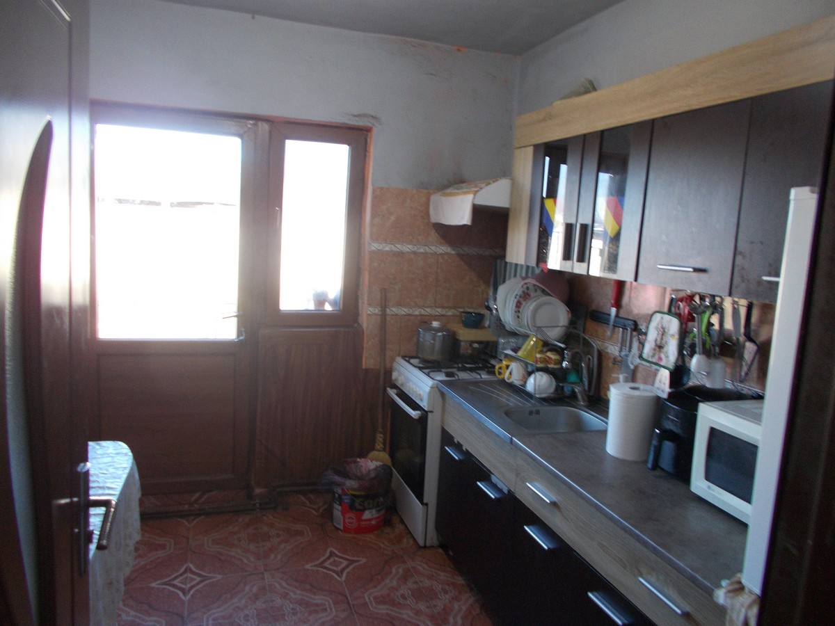 imobiliare timisoara