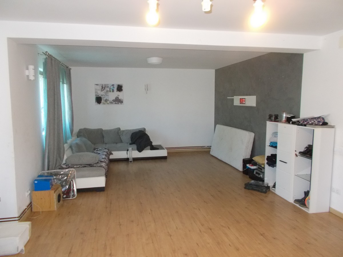 imobiliare timisoara