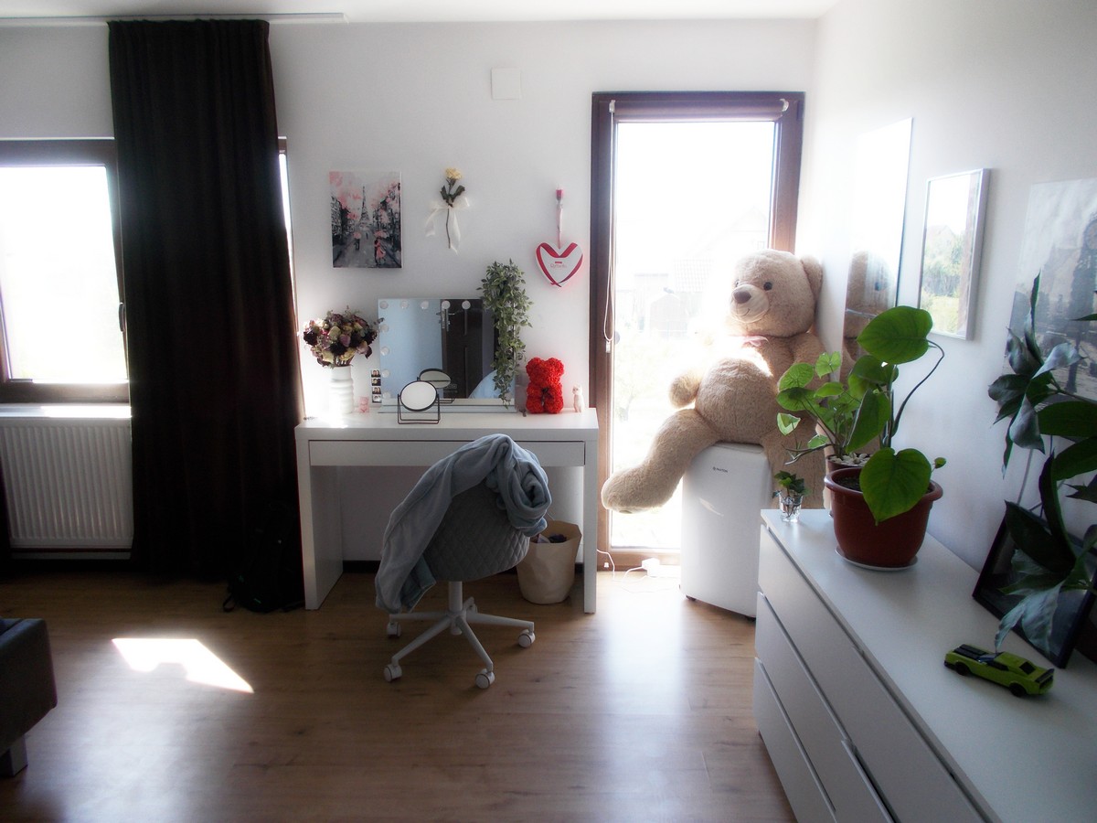 imobiliare timisoara